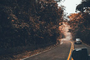 Licencia de conducir en Los Ángeles: ¿Cómo la obtengo?