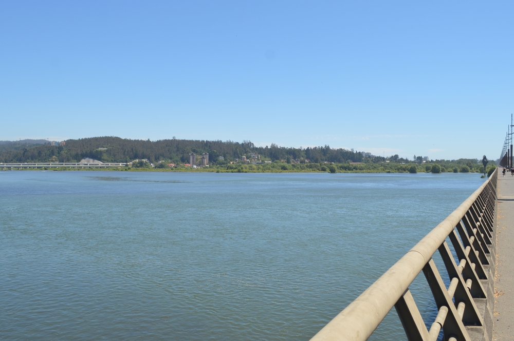 Puentes de Chile Llacolen