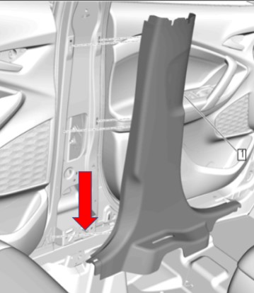 llamado revisión cinturón Tracker