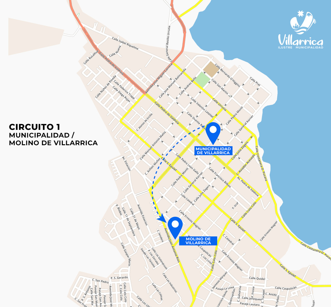 Licencia de conducir en Villarrica