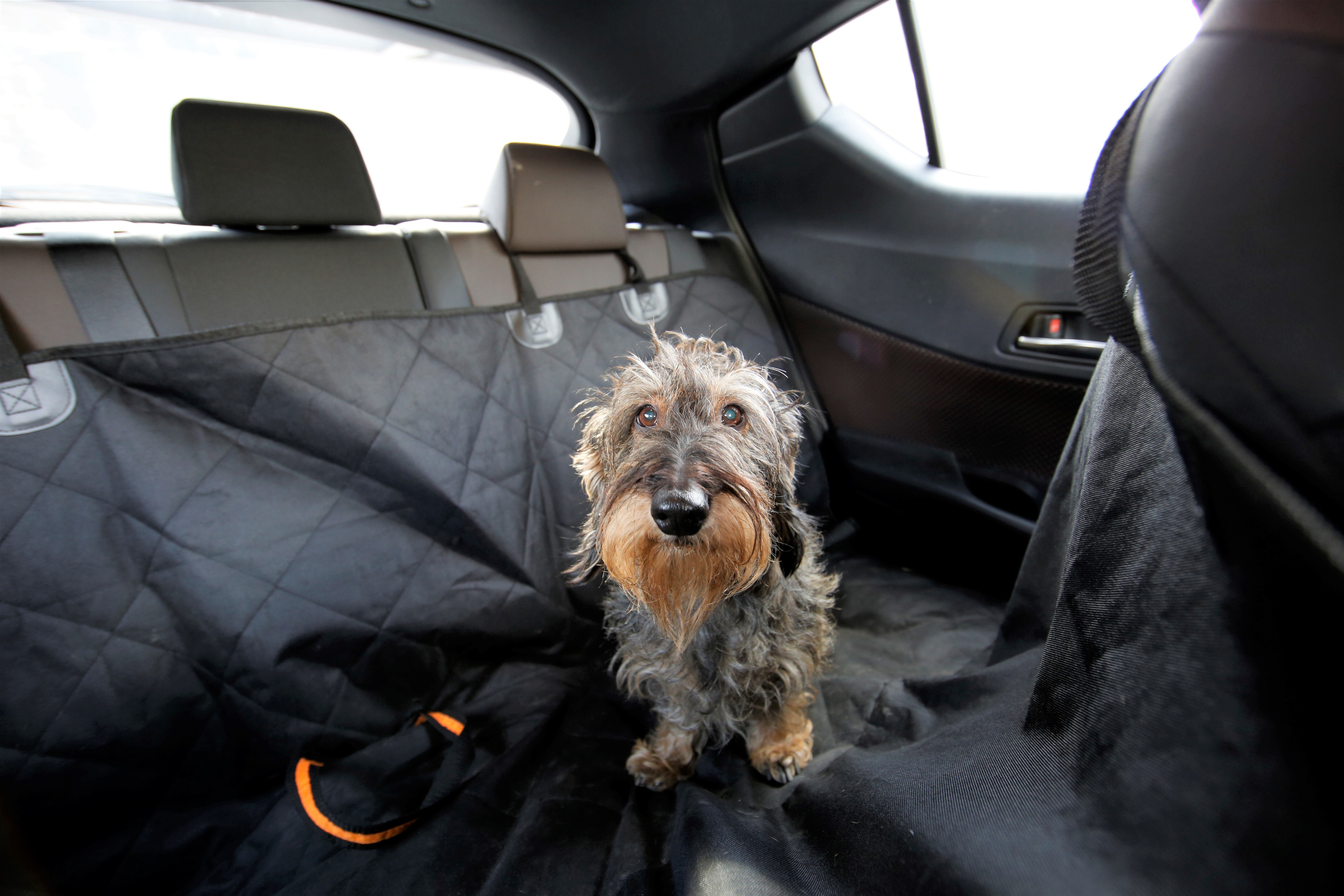 Cobertor de asiento trasero para perro Cobertor de asiento trasero