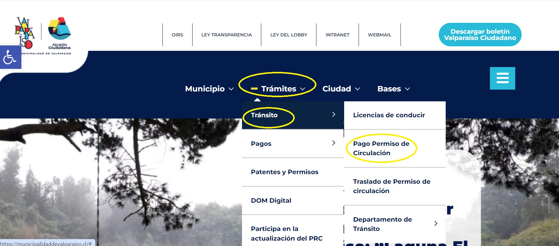 Pagar permiso de circulación online en Valparaíso