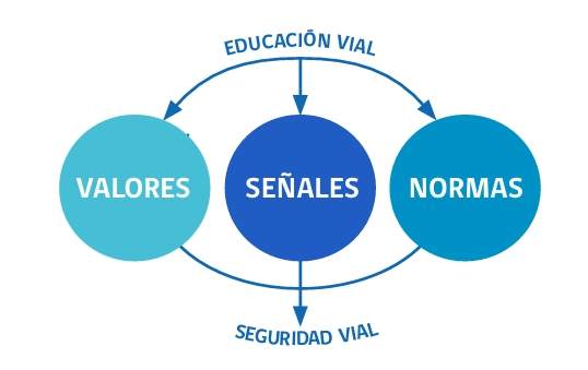 Convivencia vial Libro para la Conducció n