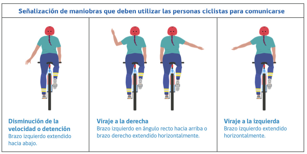 Nexteo: El libro para la conduccion en Chile