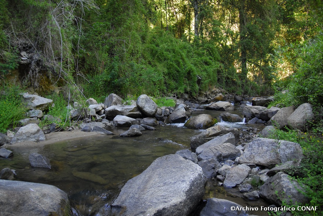 Lugares turísticos en Concepción y alrededores: Parque nacional nonguen