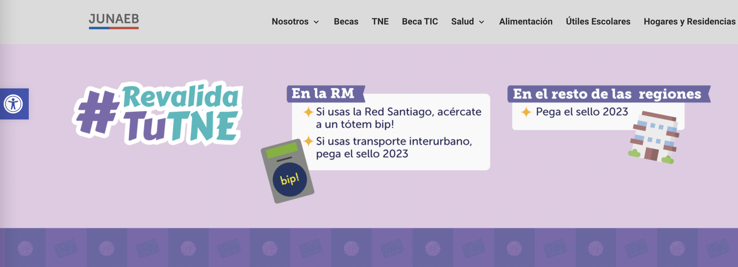 Tarjeta Nacional Estudiantil, TNE