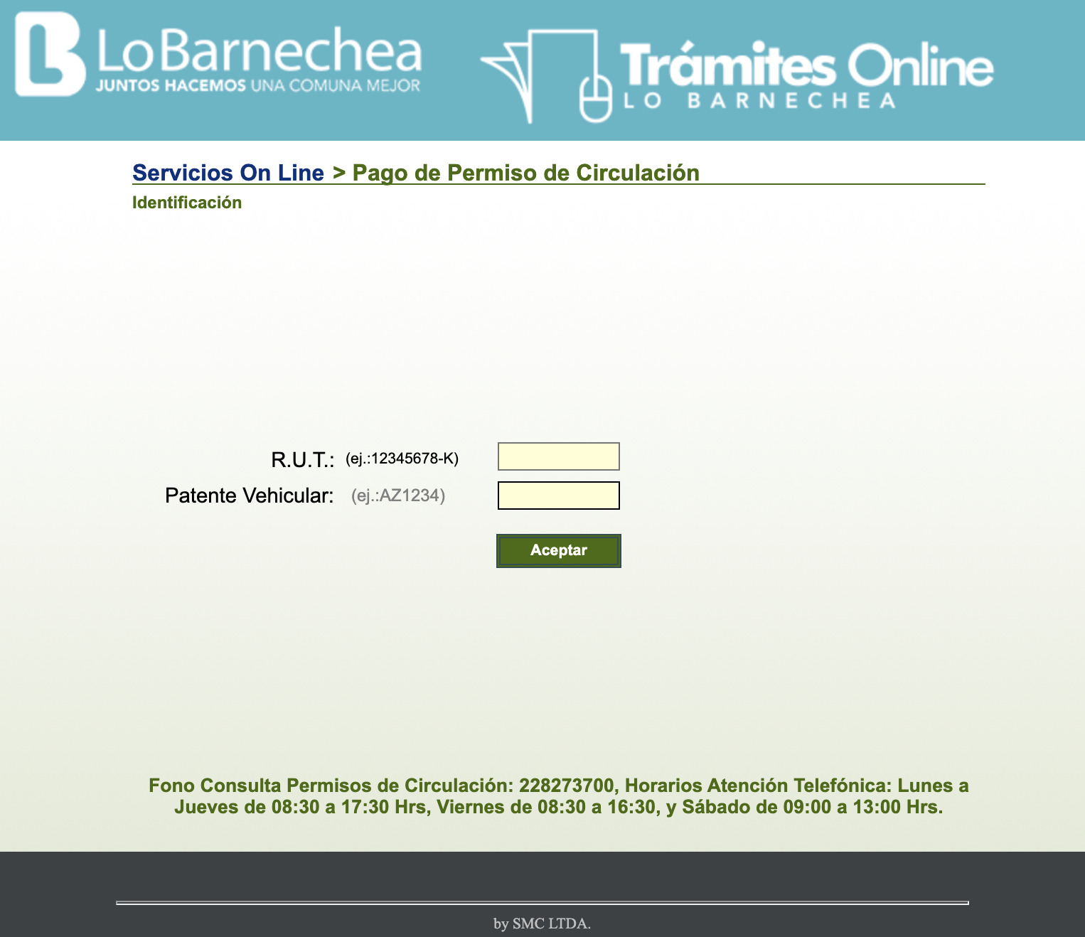 Permiso de circulación en Punta Arenas en 2025 online