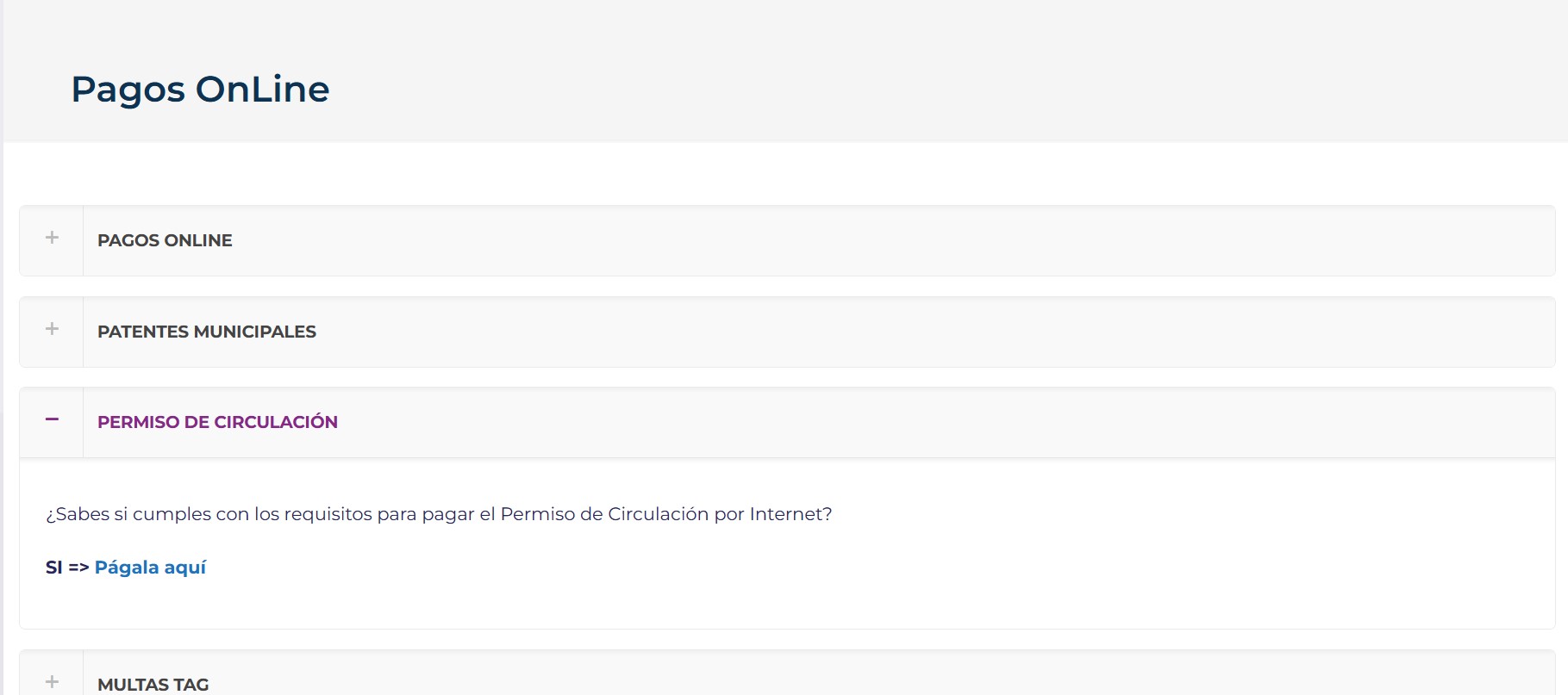 pago de permiso de circulación online lo espejo