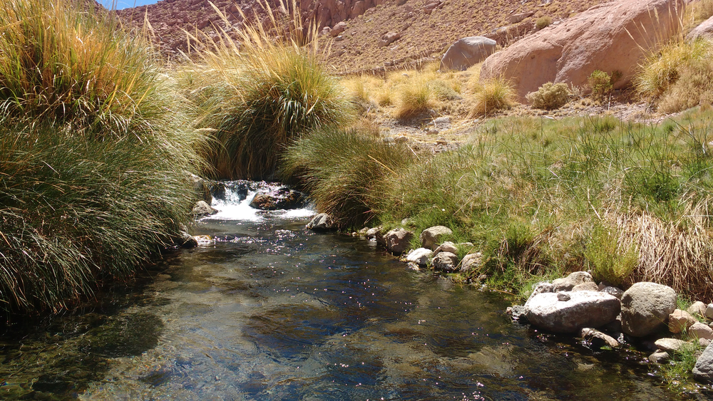 Viajar a San Pedro de Atacama