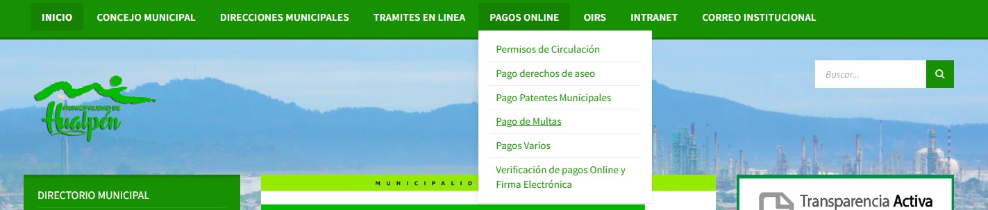 Web oficial Hualpén