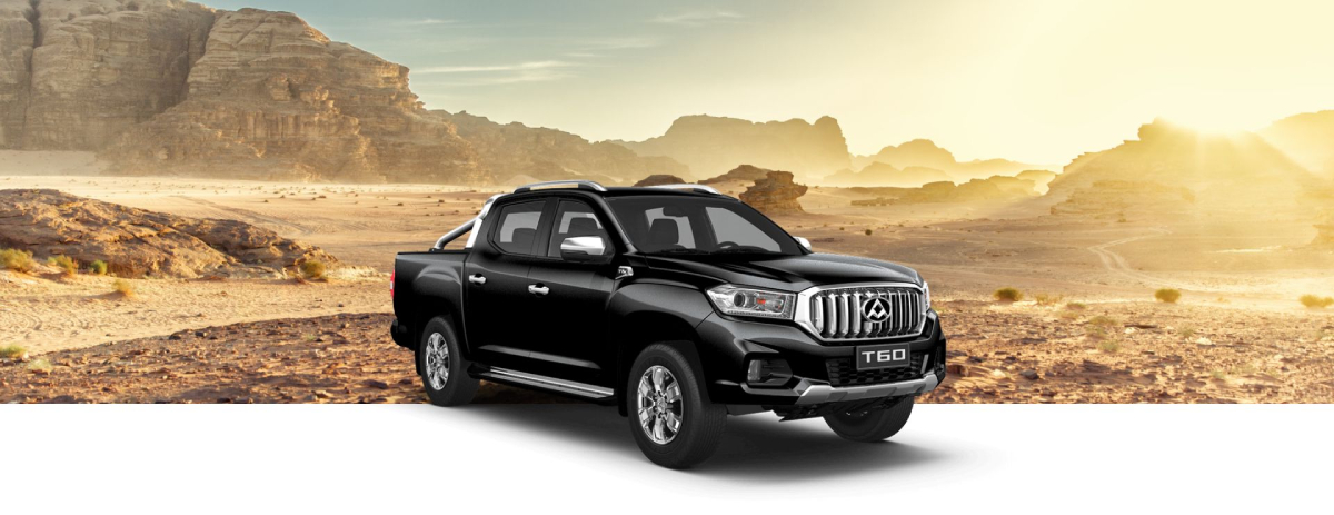 Maxus T60