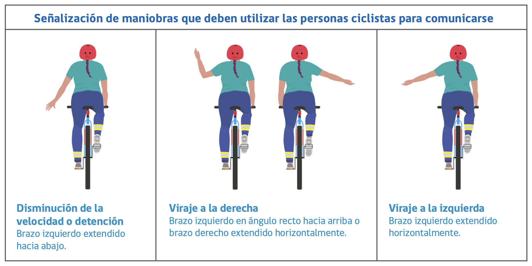 Normas de tránsito para bicicletas: Ley de Convivencia Vial en 2025