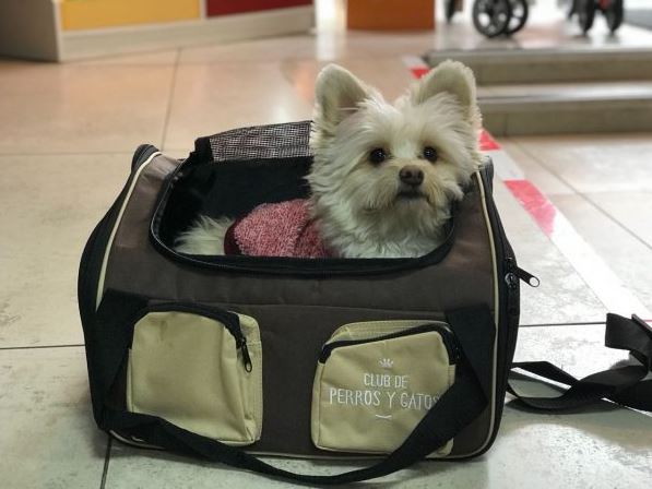 Bolso de transporte para perro Bolso de transporte