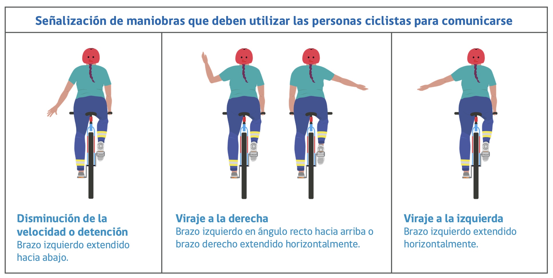 Libro para la Conducción: Los usuarios vulnerables