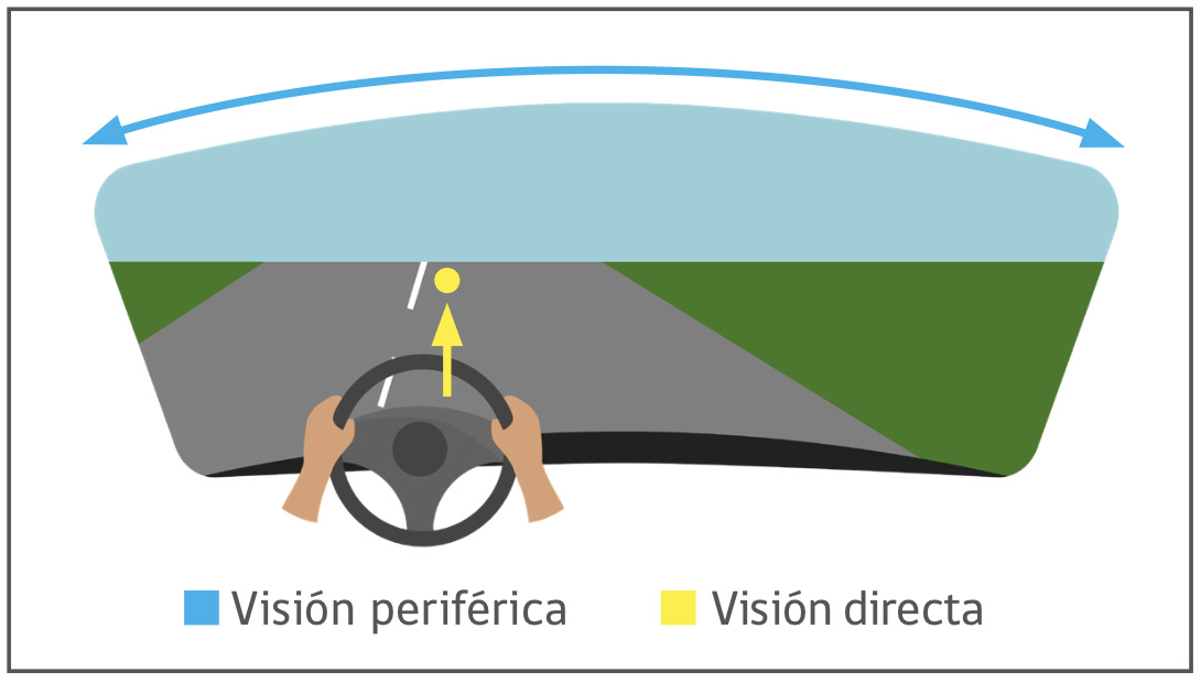 Efectos visuales en la conducción: Indicaciones del Libro para la Conducción en Chile