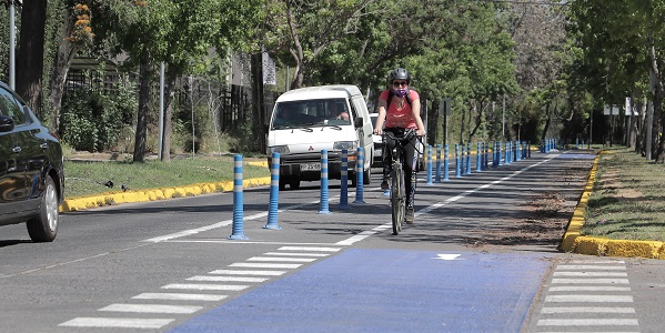Señales horizontales de tránsito: ¿Cuáles son?