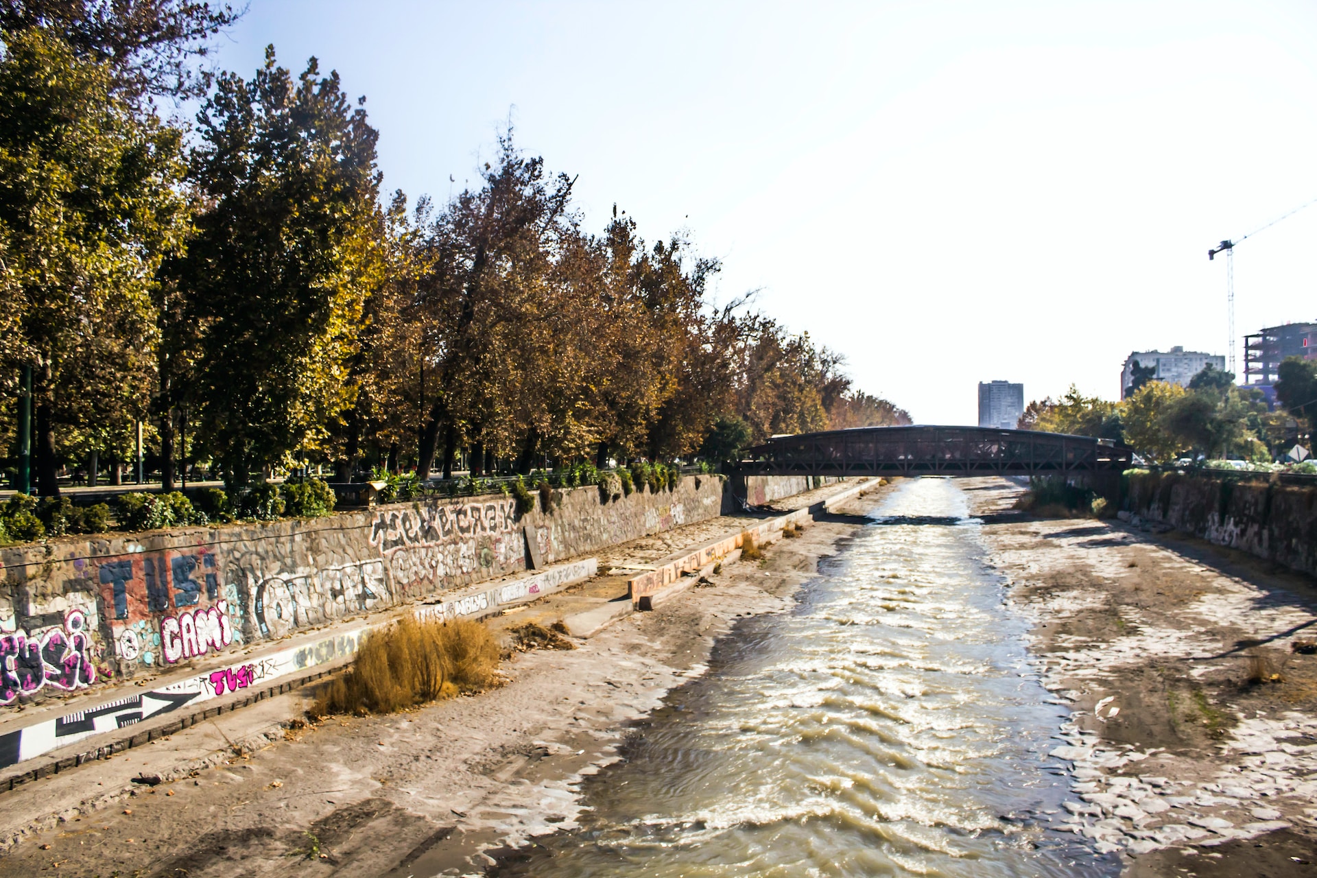 Puentes Purísima de Chile