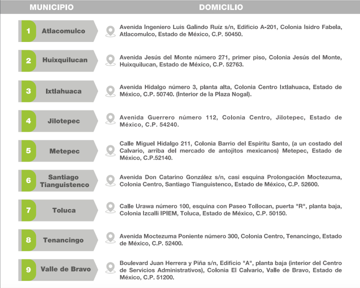 licencia de conducir Edomex