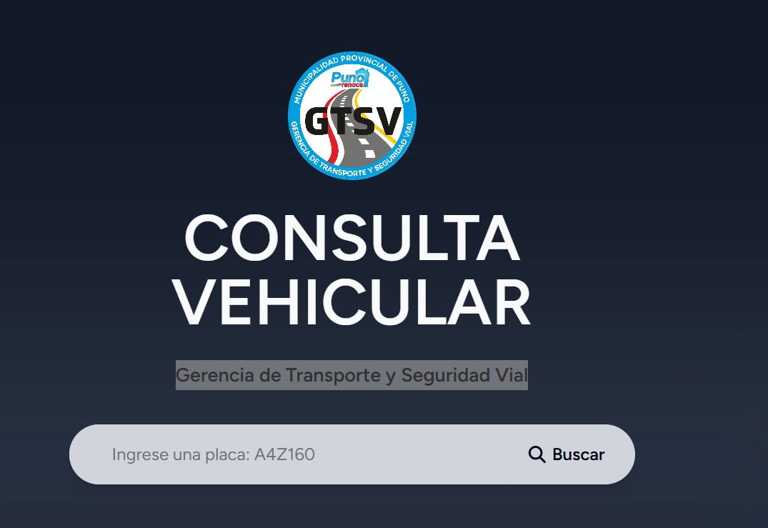 Consultar papeletas en Puno