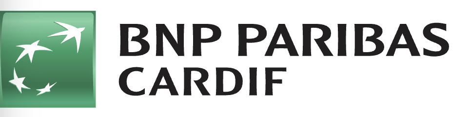 Aseguradoras de autos en Chile: bnp 