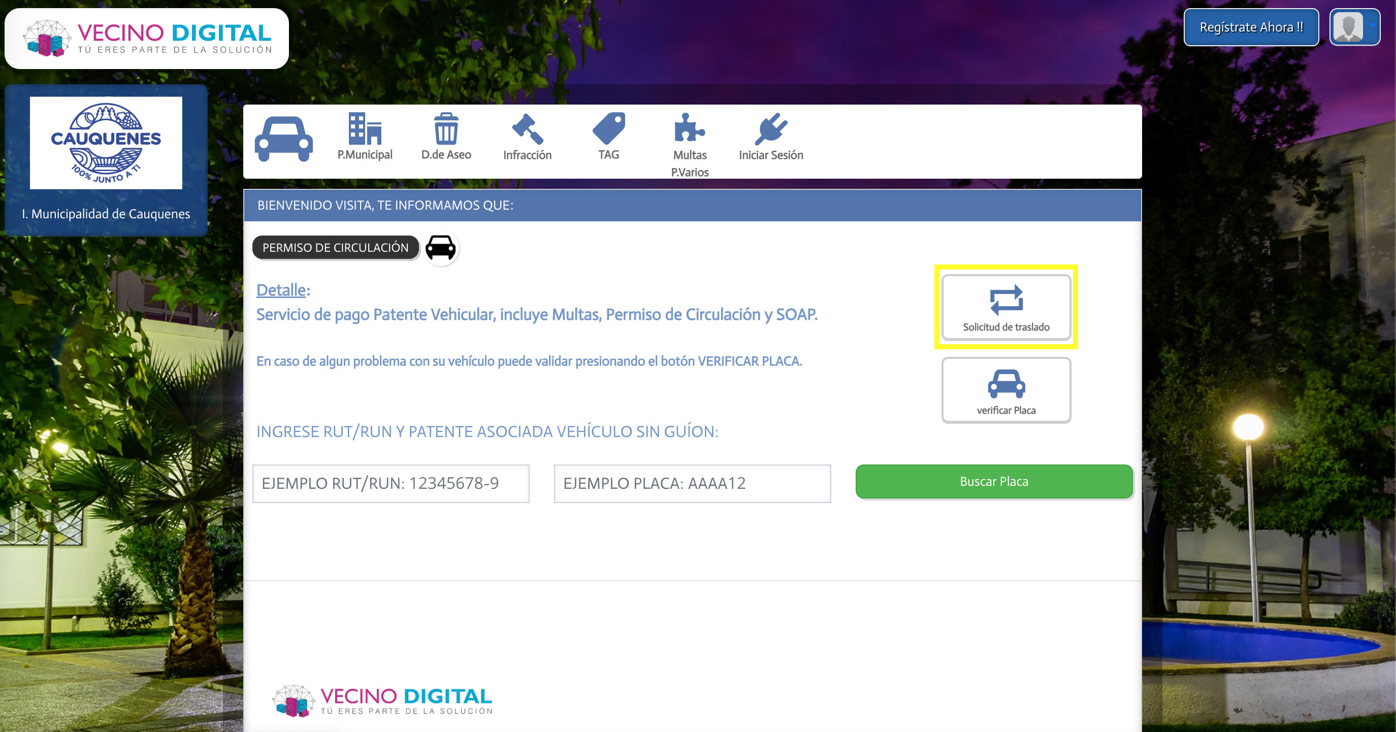 Permiso de circulación en Cauquenes: trasladar