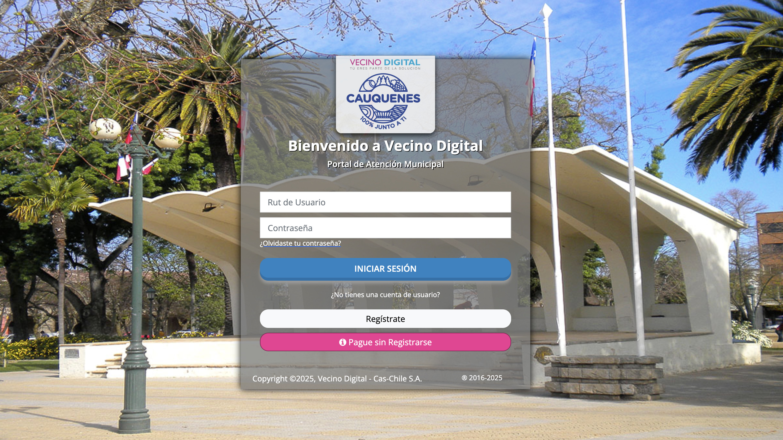 Permiso de circulación en Cauquenes: ¿Cómo pagarlo? online