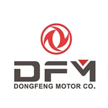 DFM